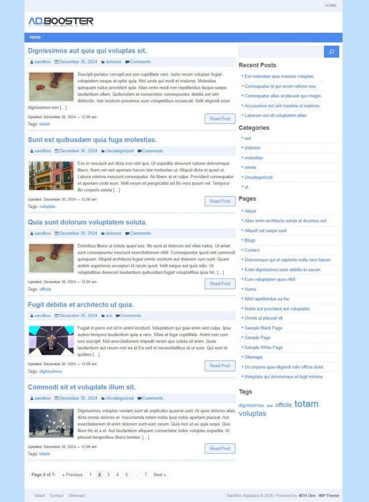 AdBooster Theme For AdSense